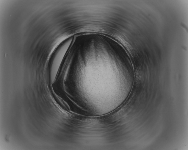 X0000091231123200708301509