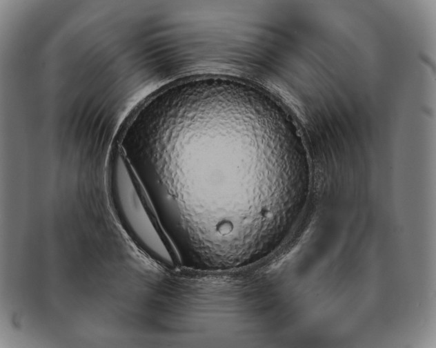 X0000091231125200708301510