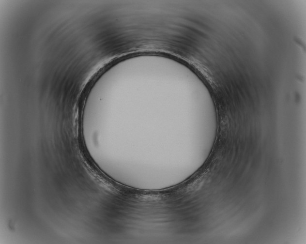 X0000091231126200708301510