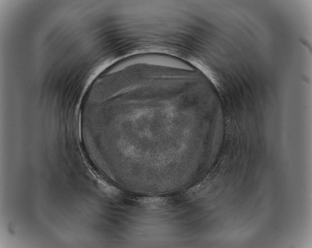 X0000091231127200708301510