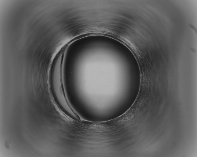 X0000091231128200708301510