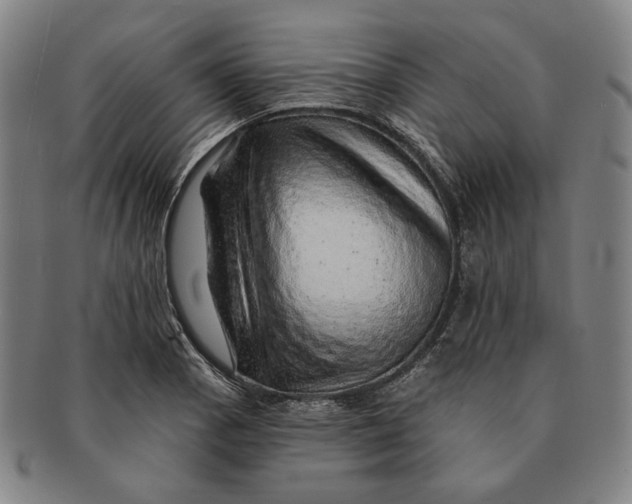 X0000091231129200708301510