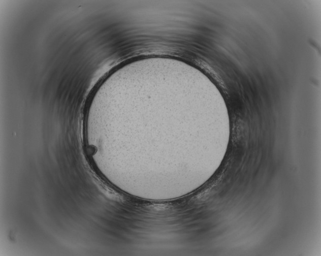 X0000091231130200708301510