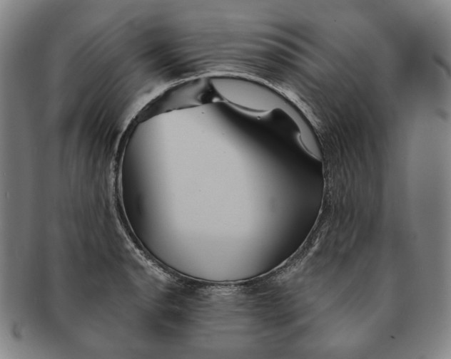 X0000091231134200708301510