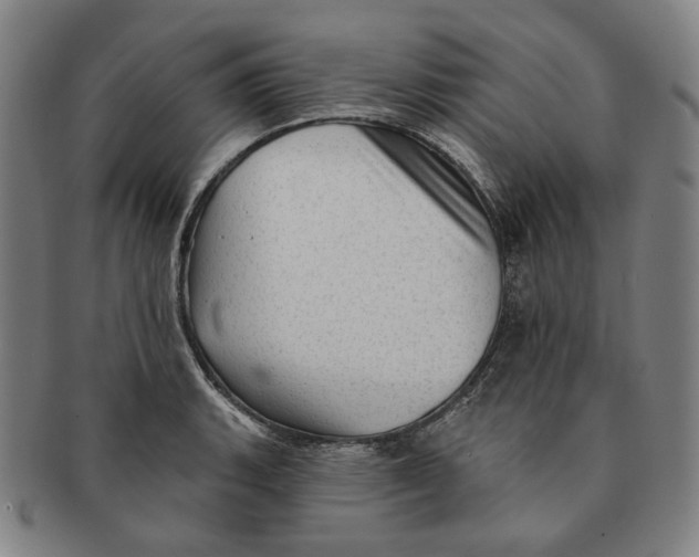 X0000091231135200708301510