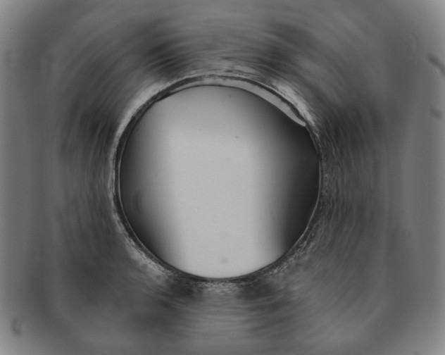 X0000091231136200708301510