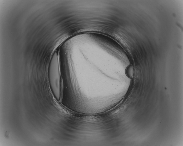 X0000091231137200708301510