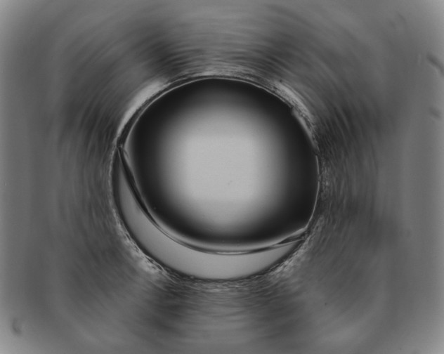 X0000091231138200708301510