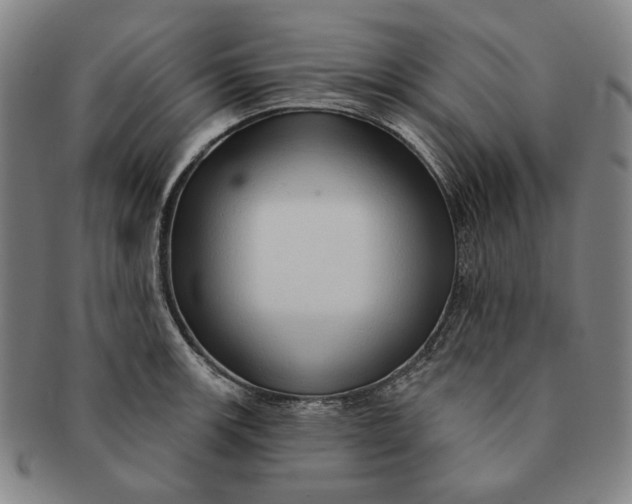 X0000091231139200708301510