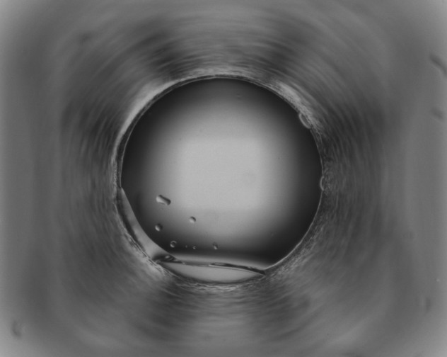 X0000091231140200708301510