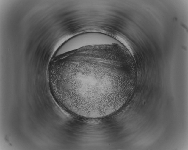 X0000091231141200708301510