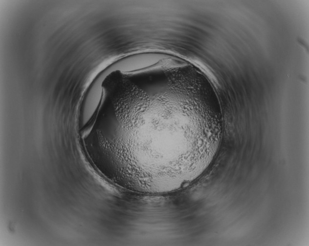 X0000091231142200708301510