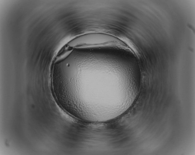 X0000091231143200708301510