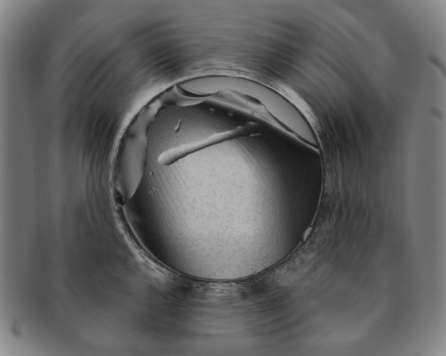 X0000091231144200708301510