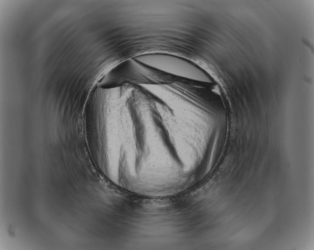 X0000091231145200708301510