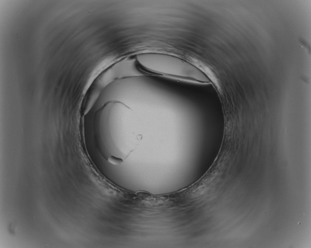 X0000091231146200708301510