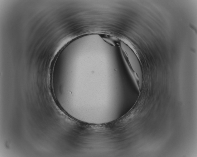 X0000091231147200708301510