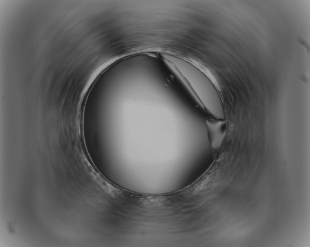 X0000091231148200708301510