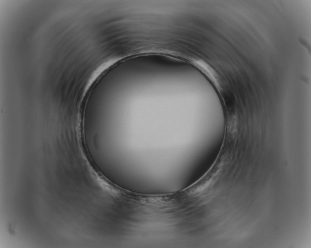 X0000091231149200708301510