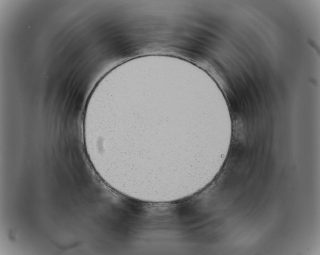 X0000091231150200708301510