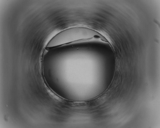 X0000091231151200708301510