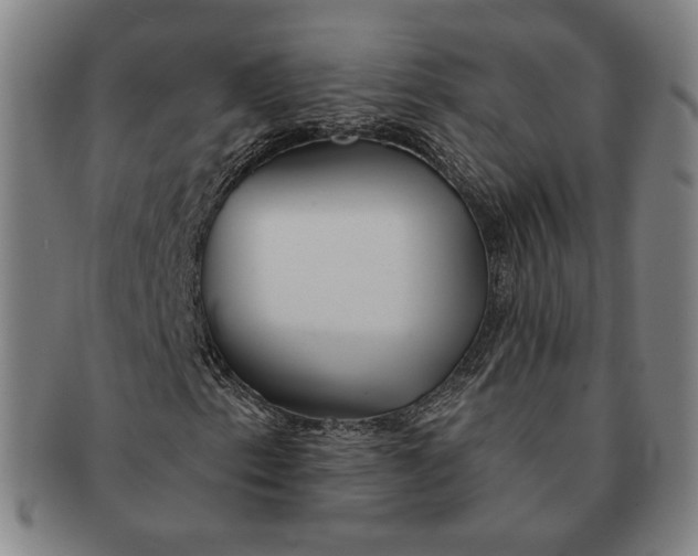 X0000091231153200708301509
