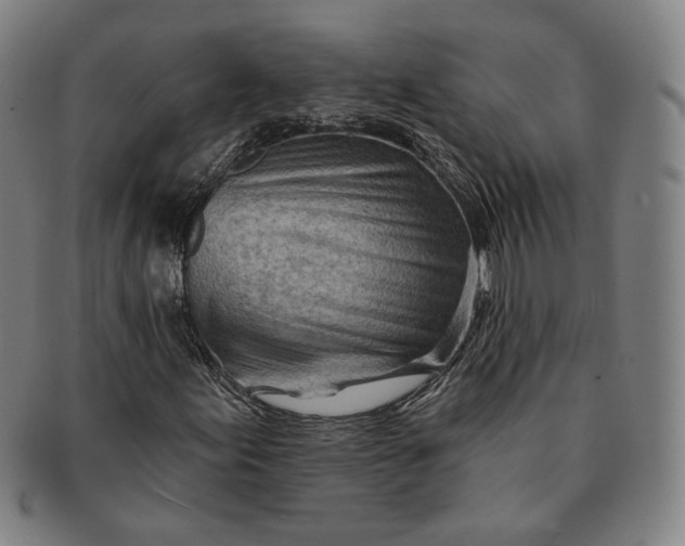 X0000091231155200708301509