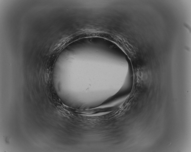 X0000091231157200708301509