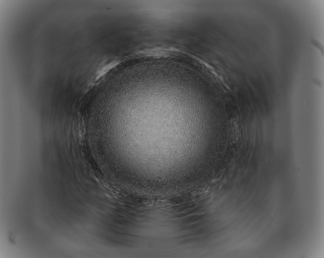 X0000091231158200708301509