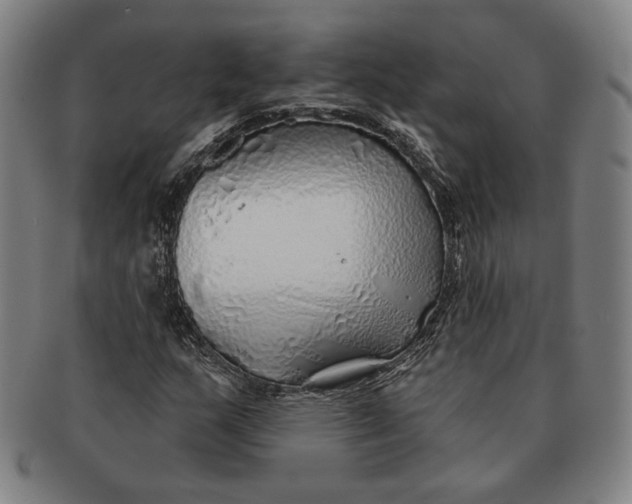 X0000091231159200708301509