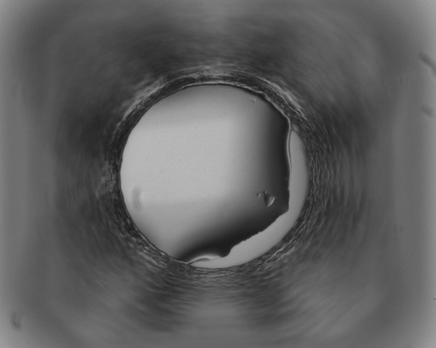 X0000091231160200708301509