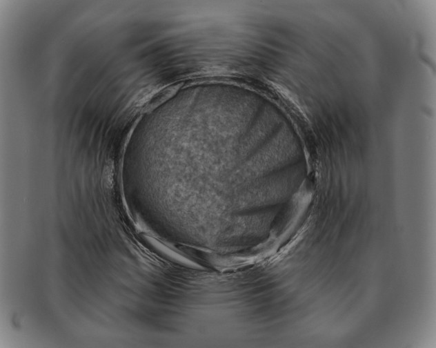 X0000091231161200708301509