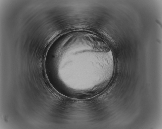X0000091231162200708301509