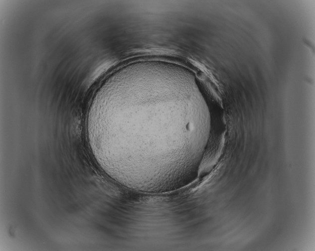 X0000091231163200708301509