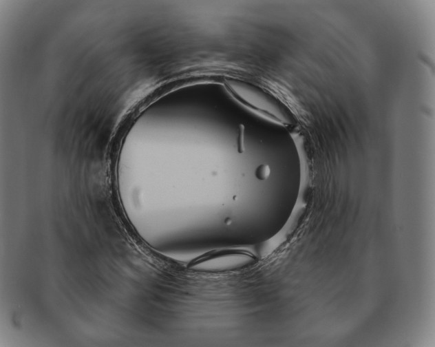 X0000091231164200708301509