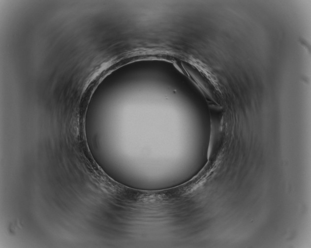 X0000091231165200708301509