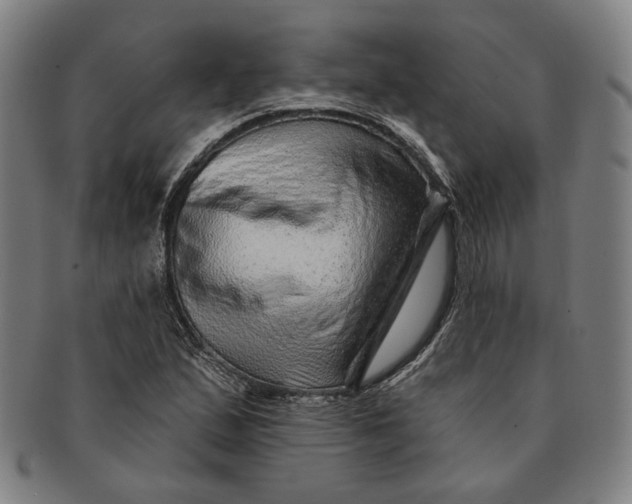 X0000091231167200708301509