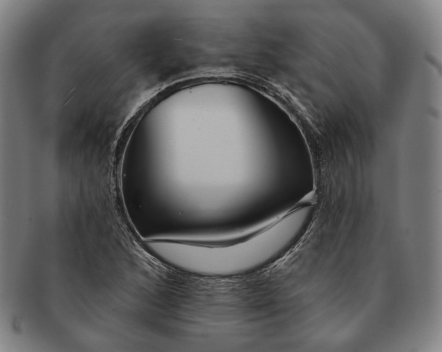 X0000091231168200708301509