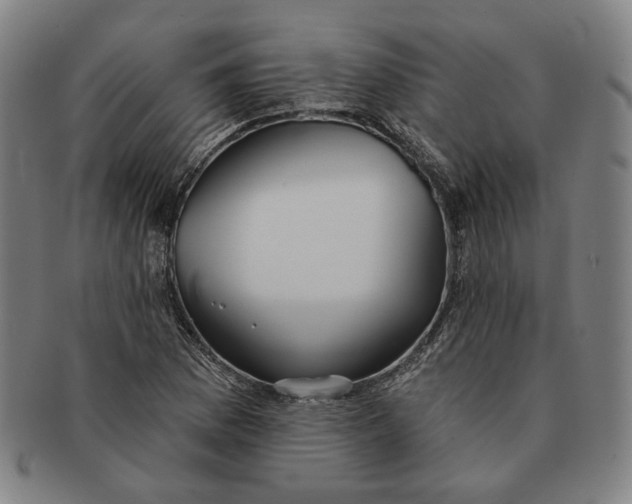 X0000091231169200708301509