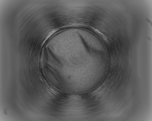 X0000091231170200708301509