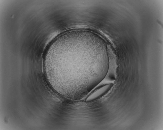 X0000091231171200708301509
