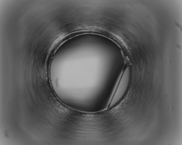 X0000091231172200708301509