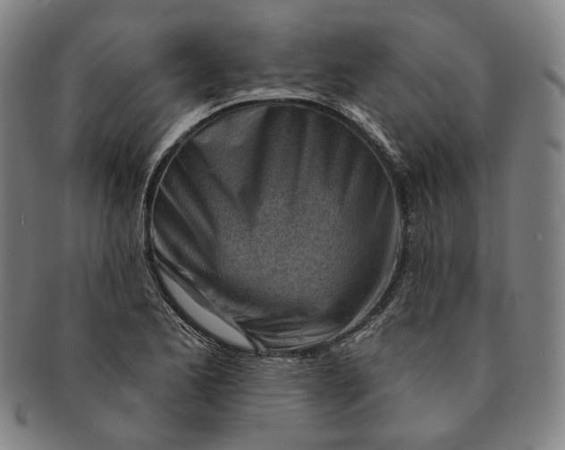 X0000091231173200708301509