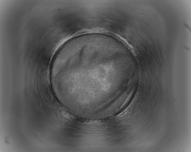X0000091231174200708301509