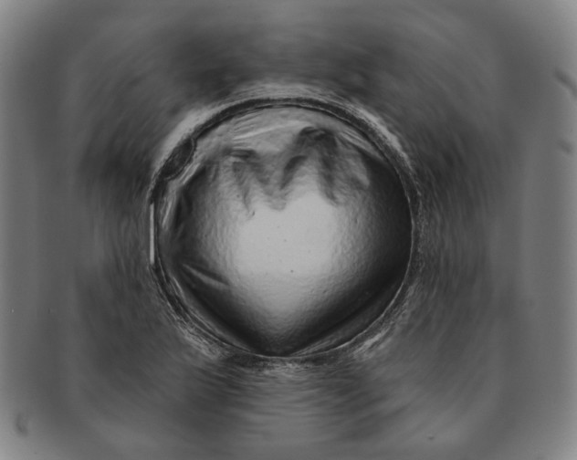 X0000091231175200708301509