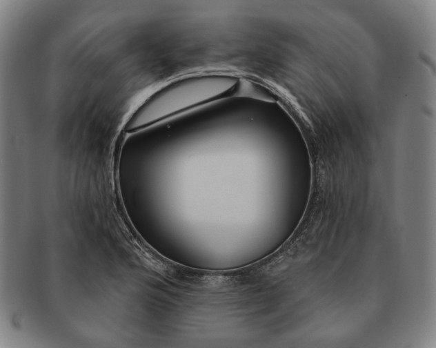 X0000091231176200708301509