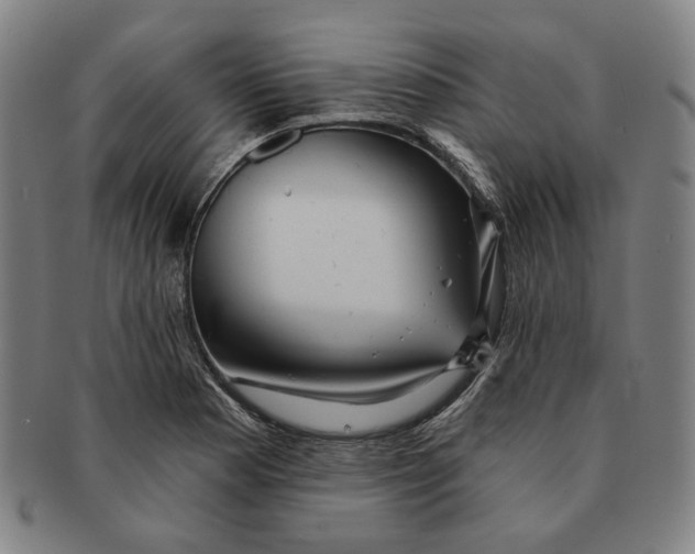 X0000091231177200708301509
