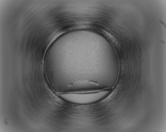 X0000091231178200708301509