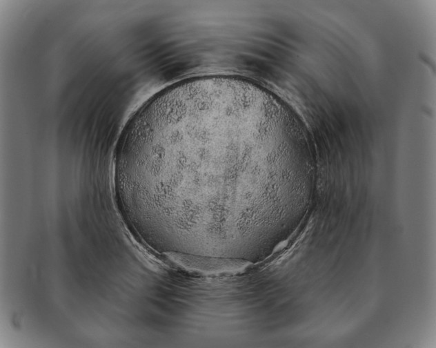 X0000091231179200708301509