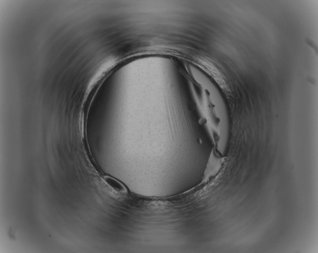 X0000091231180200708301509